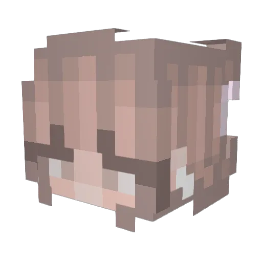 Jayda_bug Minecraft avatar head, 3D render