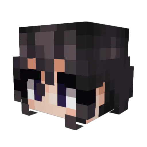 Jaydakin Minecraft avatar head, 3D render