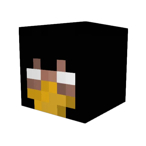 Jayday19 Minecraft avatar head, 3D render