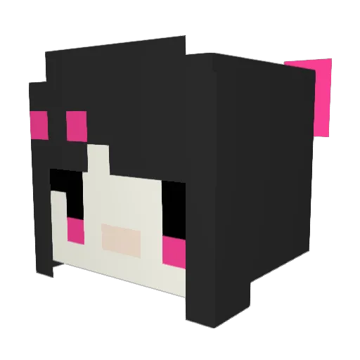 JaydeWitch Minecraft avatar head, 3D render