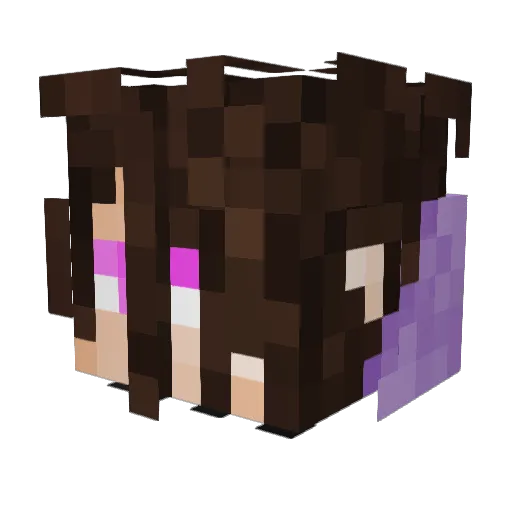 Jaydee224 Minecraft avatar head, 3D render