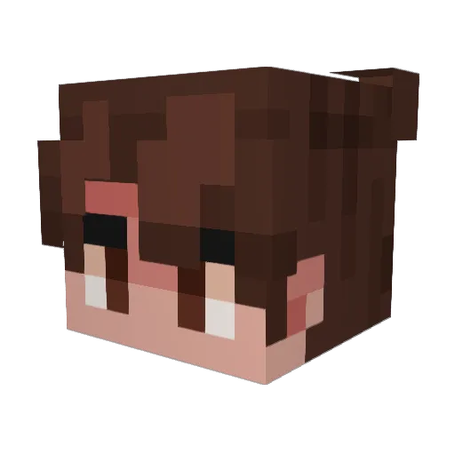Jayden00jj Minecraft avatar head, 3D render