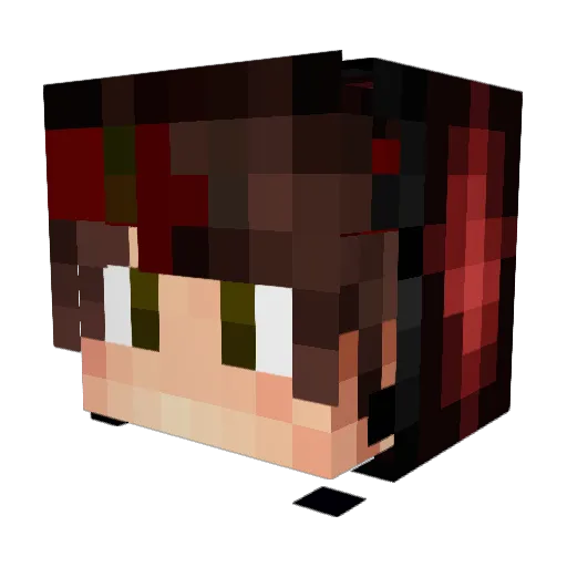 Jayden120101 Minecraft avatar head, 3D render