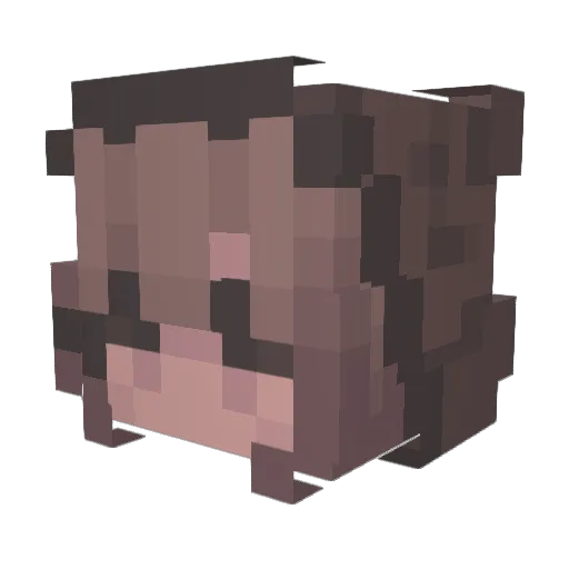 Jayden131 Minecraft avatar head, 3D render