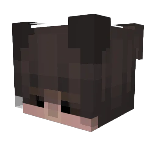 Jayden5286 Minecraft avatar head, 3D render