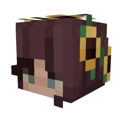 JaydenGotCovid19 Minecraft avatar head, 3D render