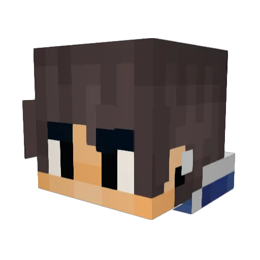 JaydenPlayzYT_W Minecraft avatar head, 3D render
