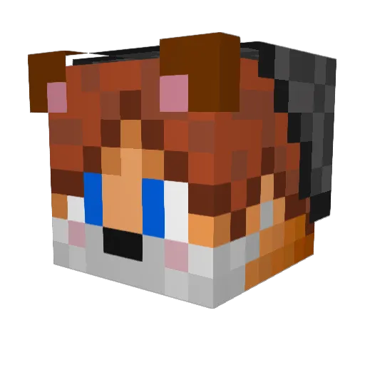 JaydenSionnach Minecraft avatar head, 3D render