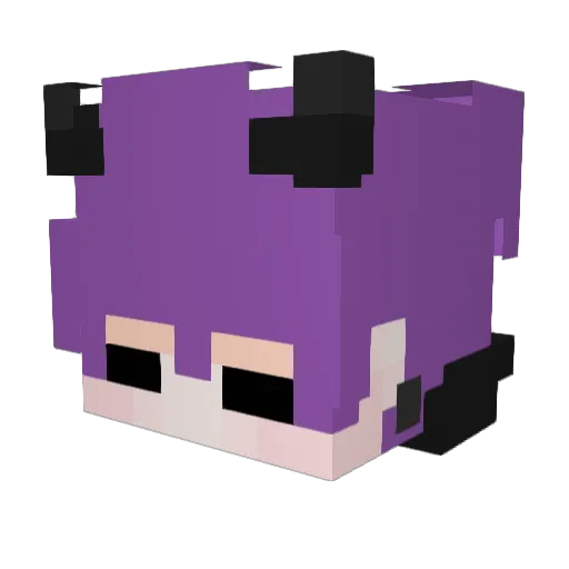 JaydenTt123 Minecraft avatar head, 3D render