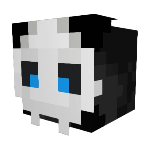JaydenW05 Minecraft avatar head, 3D render
