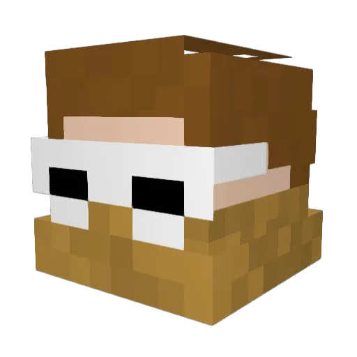 JaydenWangUHC Minecraft avatar head, 3D render