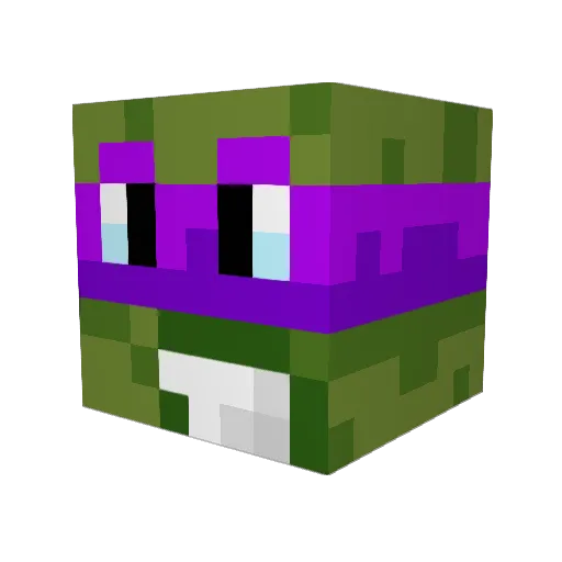 JaydenZA Minecraft avatar head, 3D render