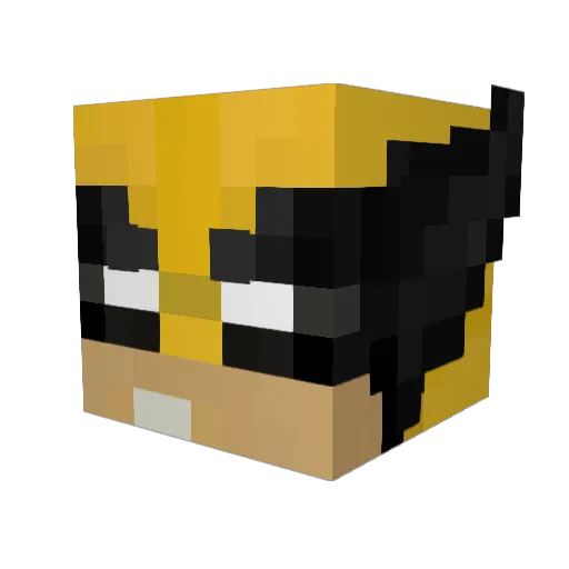 Jayden_2011 Minecraft avatar head, 3D render