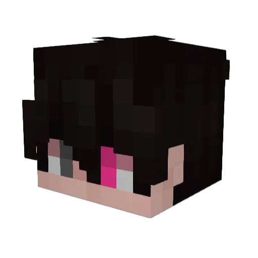 Jayden_Ch Minecraft avatar head, 3D render