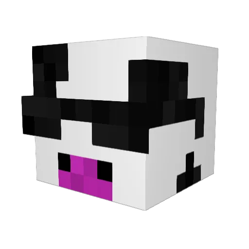 Jaydenforsterrrr Minecraft avatar head, 3D render