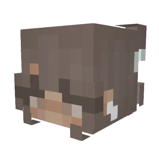 Jaydenjellybean Minecraft avatar head, 3D render