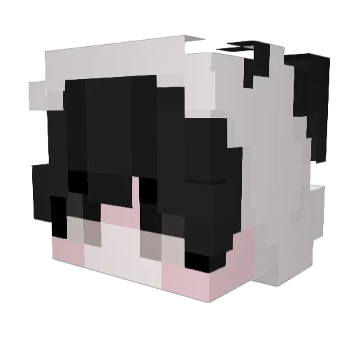 Jaydenkoz2 Minecraft avatar head, 3D render
