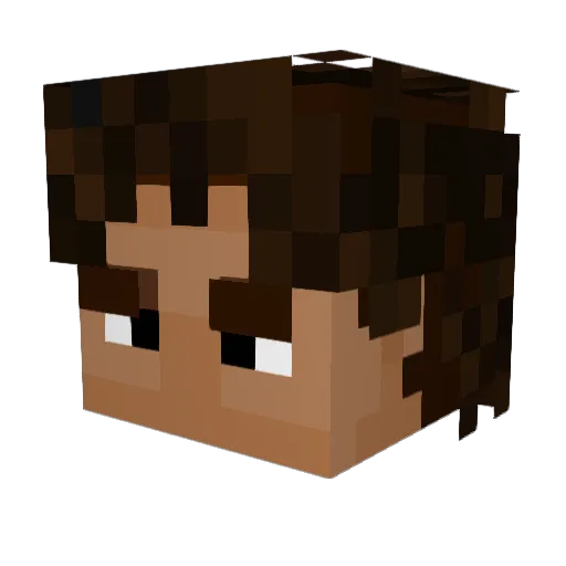 Jaydenmines Minecraft avatar head, 3D render