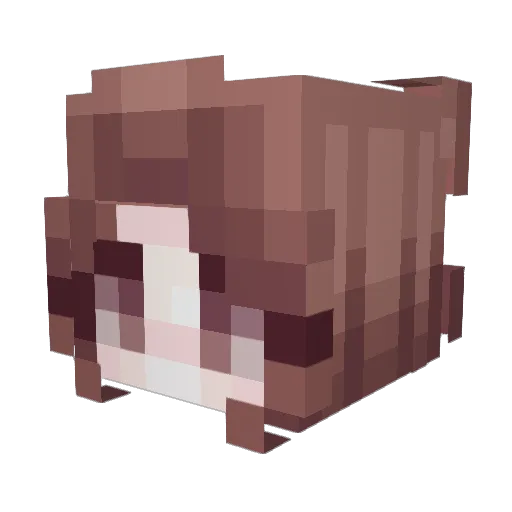 Jaydenramosss Minecraft avatar head, 3D render