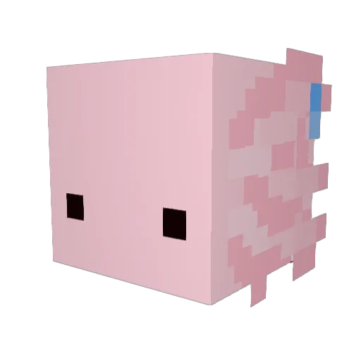 Jaydent3 Minecraft avatar head, 3D render