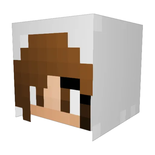 Jaydicles Minecraft avatar head, 3D render