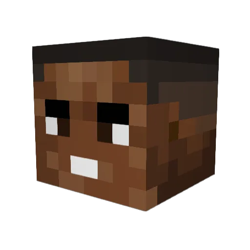 Jaydonro Minecraft avatar head, 3D render