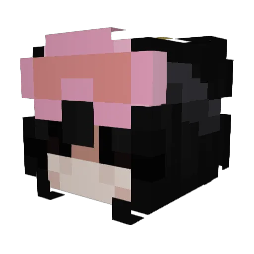 Jaydr727 Minecraft avatar head, 3D render
