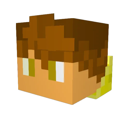 Jaydude3354 Minecraft avatar head, 3D render