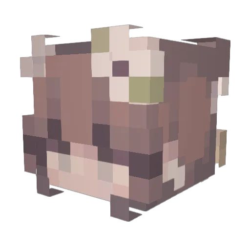 Jayeren Minecraft avatar head, 3D render