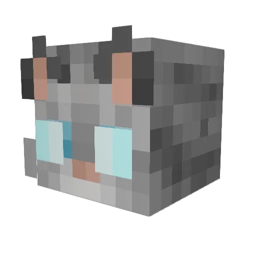 Jayfeather227 Minecraft avatar head, 3D render