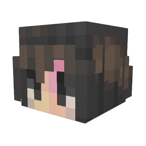 Jaygo4ts Minecraft avatar head, 3D render