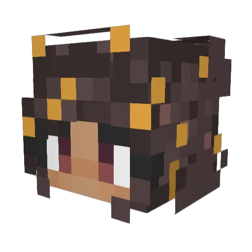 Jaygreen Minecraft avatar head, 3D render