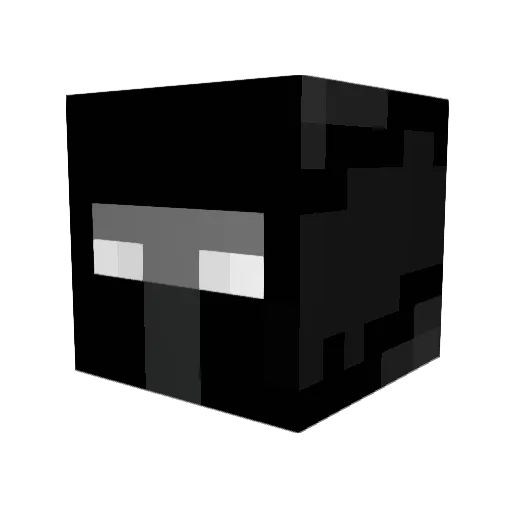 Jayguap Minecraft avatar head, 3D render