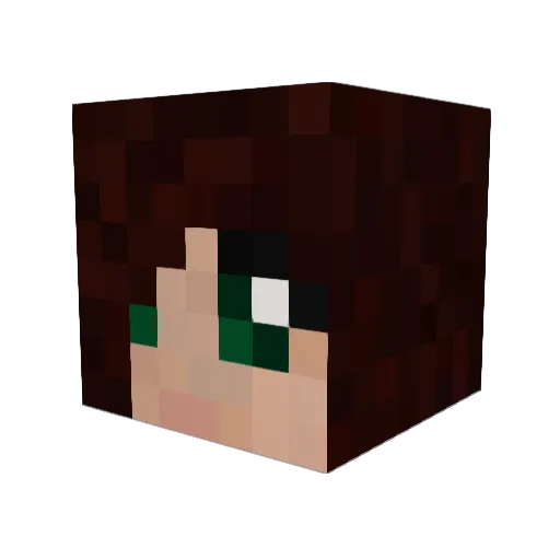 Jayiee_ Minecraft avatar head, 3D render