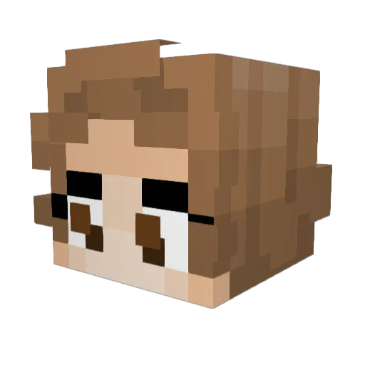 Jayisbird Minecraft avatar head, 3D render