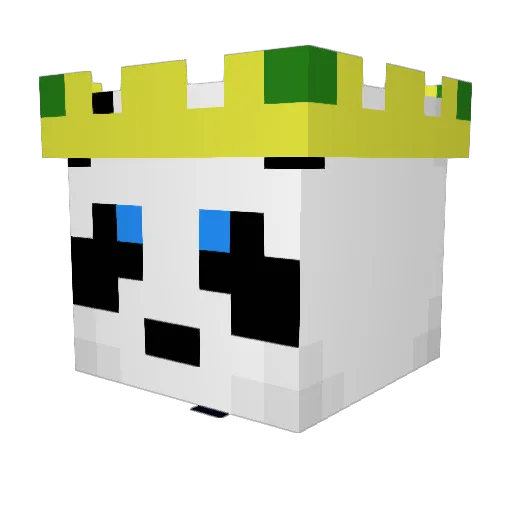 Jaykee_16 Minecraft avatar head, 3D render