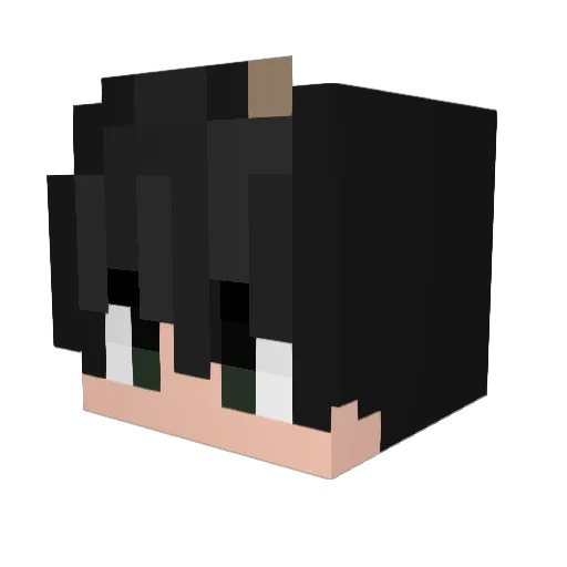 Jayko40153 Minecraft avatar head, 3D render