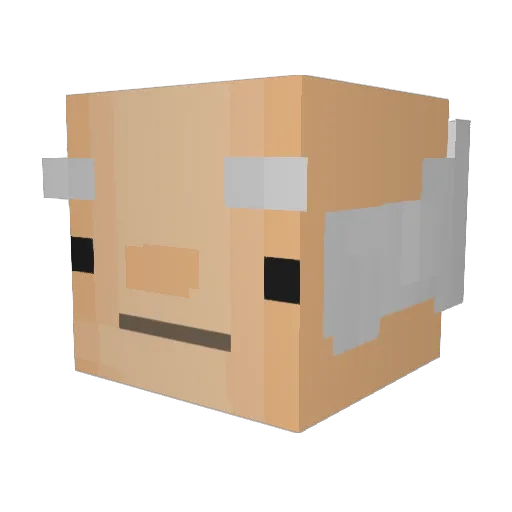 JaylanScott Minecraft avatar head, 3D render
