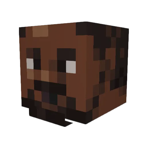 JaylenWasHere Minecraft avatar head, 3D render