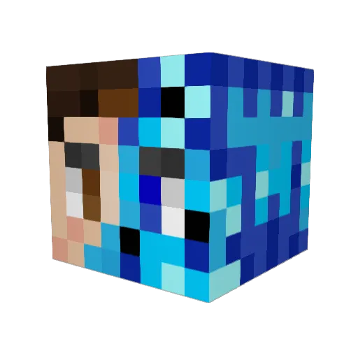 Jaylilboi Minecraft avatar head, 3D render