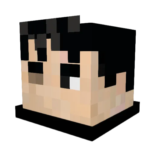 Jaylix29 Minecraft avatar head, 3D render