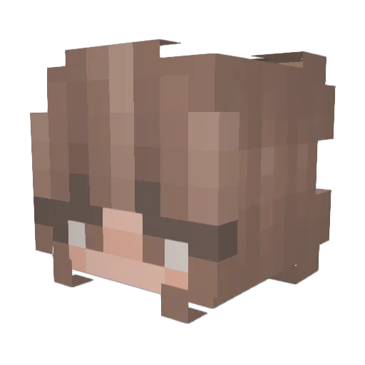 Jayllian Minecraft avatar head, 3D render