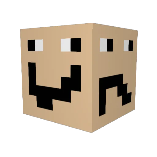 Jayloo2020 Minecraft avatar head, 3D render