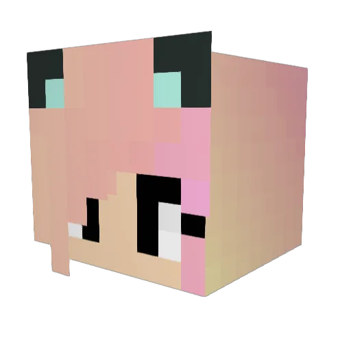 Jaylor2104 Minecraft avatar head, 3D render