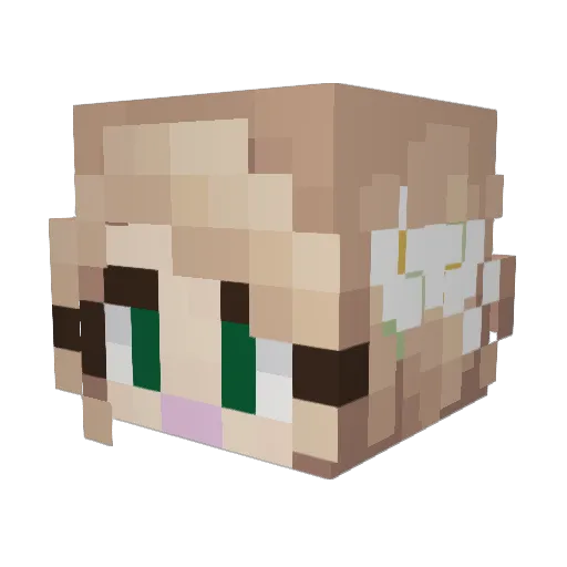 JaymeXoxo Minecraft avatar head, 3D render
