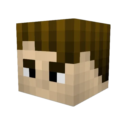 Jaymeeeeee Minecraft avatar head, 3D render
