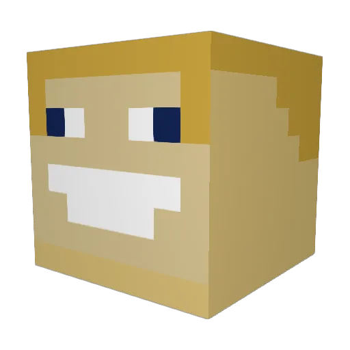 Jaymus2010 Minecraft avatar head, 3D render