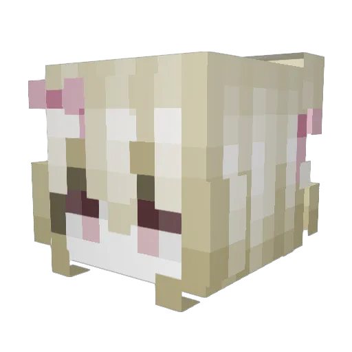 JayneGrace Minecraft avatar head, 3D render