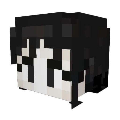 Jayoak Minecraft avatar head, 3D render