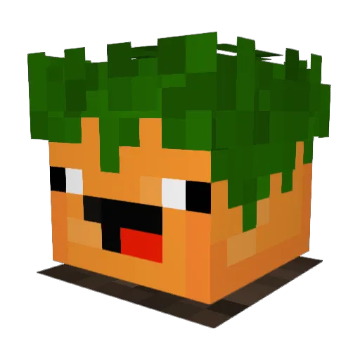 Jayoiscool Minecraft avatar head, 3D render